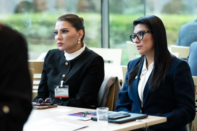 PARTICIPA VERO RODRÍGUEZ EN PLENARIA DE LA OCDE EN&nbsp;PARÍS