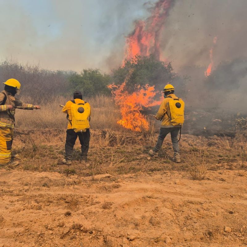 ATIENDE PROTECCIÓN CIVIL INCENDIO EN BULEVAR&nbsp;BMW