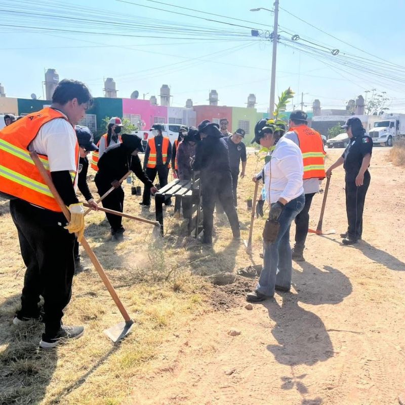 GOBIERNO MUNICIPAL PONE EN MARCHA PROGRAMA DE ECOLOGÍA TÁCTICA EN LA COLONIA LOS&nbsp;VERGELES