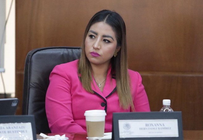 PROPONEN INCORPORAR EL CONCEPTO DE REVICTIMIZACIÓN EN LA LEY DE ACCESO DE LAS MUJERES A UNA VIDA LIBRE DE&nbsp;VIOLENCIA.