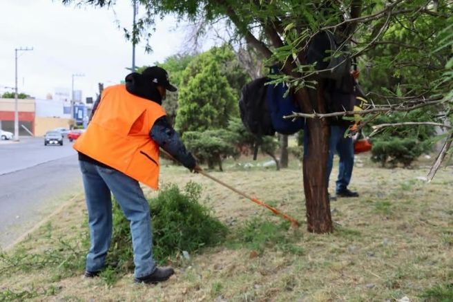 FORTALECE GOBIERNO MUNICIPAL LIMPIEZA, ALUMBRADO Y RESCATE DE ESPACIO PÚBLICOS DE LA&nbsp;CAPITAL