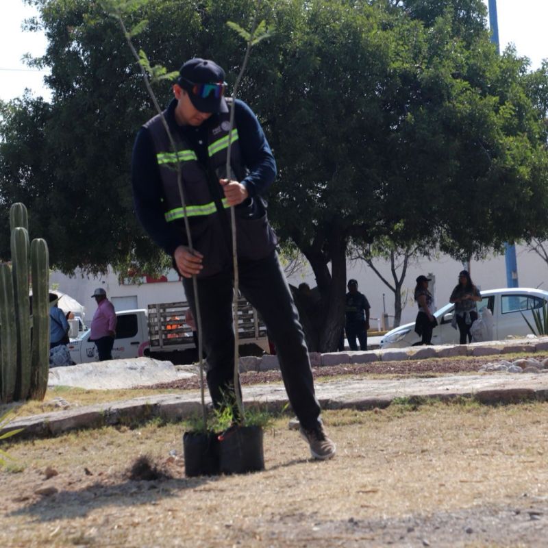 EN DOMINGO DE PILAS EL GOBIERNO DE LA CAPITAL REHABILITA JARDÍN EN SALVADOR&nbsp;NAVA