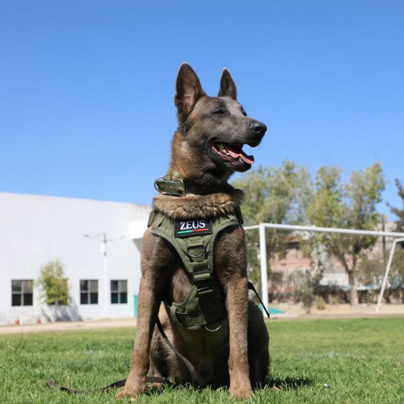 SAN LUIS ENTRE LOS ESTADOS CON MENOR INCIDENCIA DE HOMICIDIO DOLOSO EN MARZO DE&nbsp;2026