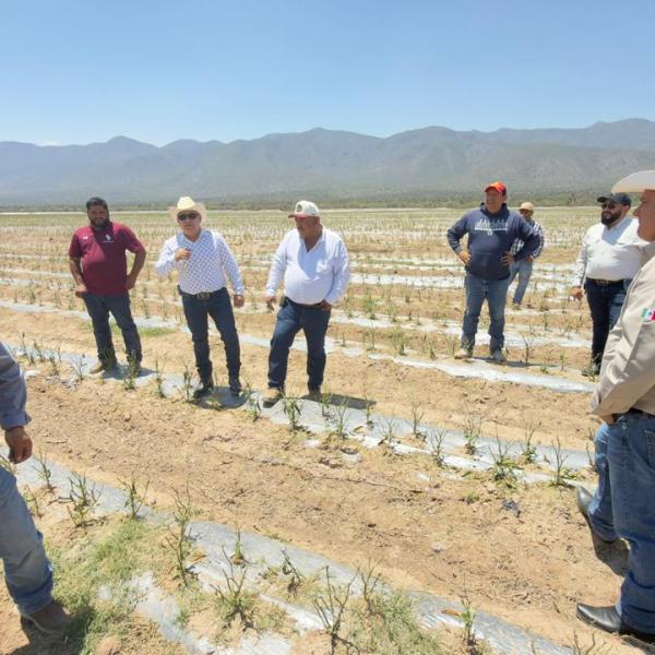 ESTADO RESPONDE A DAÑOS POR GRANIZADA EN EL&nbsp;ALTIPLANO