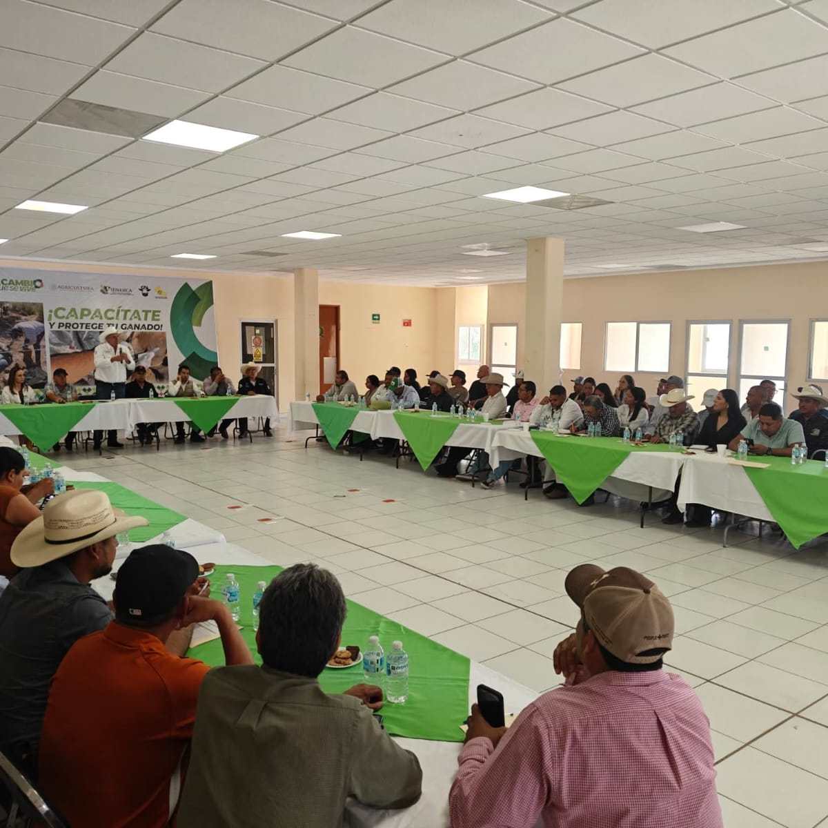 RECIBEN 12 MUNICIPIOS CAPACITACIÓN Y APOYO CONTRA EL GUSANO&nbsp;BARRENADOR