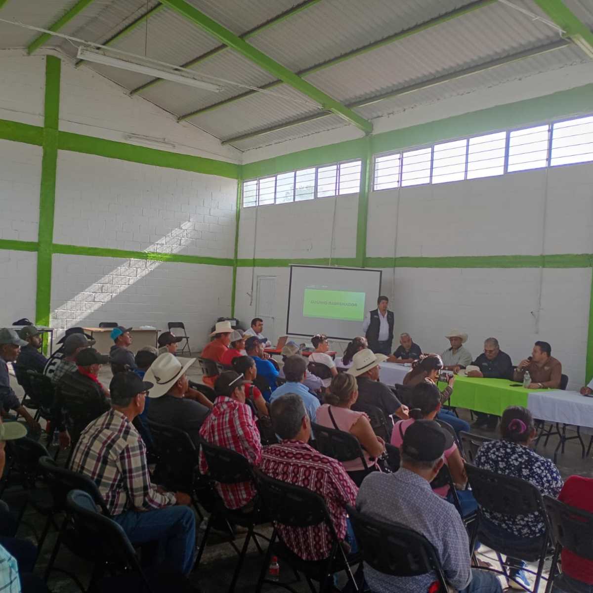 REDOBLAN LUCHA CONTRA GUSANO&nbsp;BARRENADOR