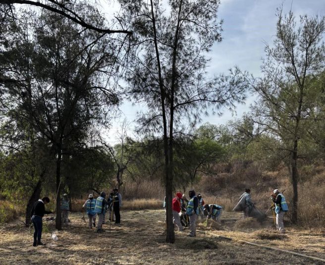 AYUNTAMIENTO Y EMPRESAS REFUERZAN ACCIONES A FAVOR DEL MEDIO&nbsp;AMBIENTE