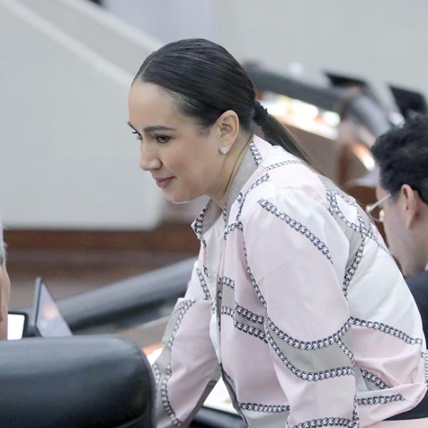 CONGRESO DEL ESTADO DECLARA EL DÍA 26 DE AGOSTO DE CADA AÑO, COMO “DÍA DEL HUAPANGO&nbsp;POTOSINO”.
