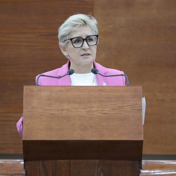 SE BUSCA ESTABLECER BASES CLARAS PARA LA TELESALUD, TELEMEDICINA, SALUD MÓVIL Y REGISTROS ELECTRÓNICOS: DIP. FRINNÉ&nbsp;AZUARA.