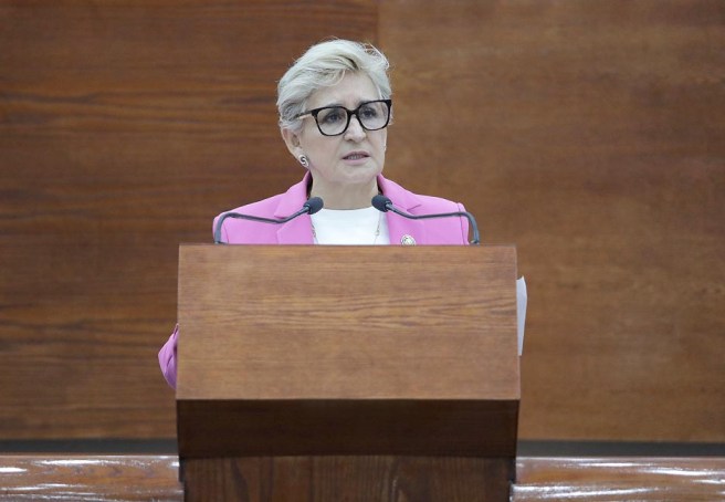 SE BUSCA ESTABLECER BASES CLARAS PARA LA TELESALUD, TELEMEDICINA, SALUD MÓVIL Y REGISTROS ELECTRÓNICOS: DIP. FRINNÉ&nbsp;AZUARA.