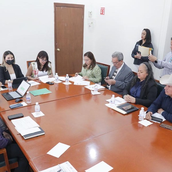 LA DIP. MARÍA DOLORES ROBLES HIZO UN LLAMADO A LAS Y LOS CONTRIBUYENTES A REGISTRARSE Y UTILIZAR EL BUZÓN FISCAL&nbsp;ESTATAL