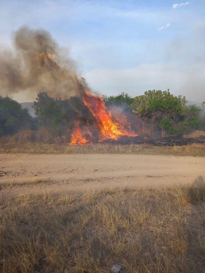 ATIENDE GOBIERNO DE LA CAPITAL INCENDIOS EN&nbsp;BOCAS