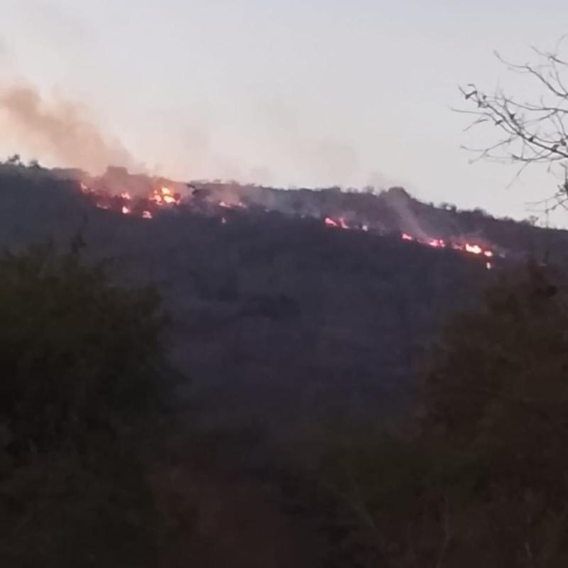 SE ATIENDEN INCENDIOS EN SANTA MARÍA DEL RÍO Y&nbsp;CÁRDENAS