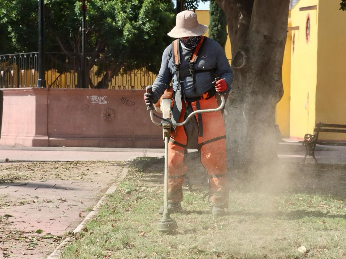 MANTENIMIENTO MUNICIPAL DE JARDINES BENEFICIA AL BARRIO DE EL&nbsp;MONTECILLO