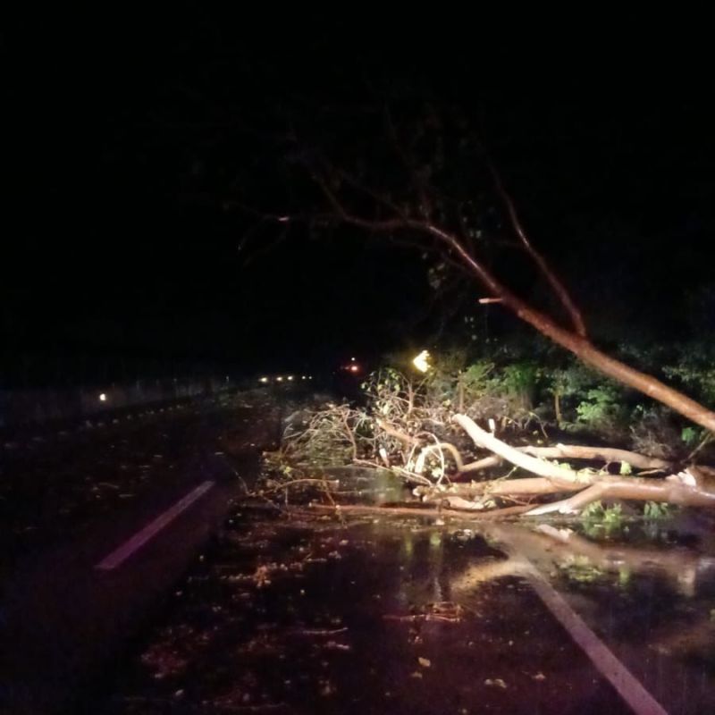 REPORTAN INCIDENTES MENORES EN LA HUASTECA DEBIDO A LAS&nbsp;LLUVIAS