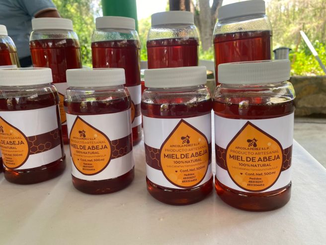 SE FORTALECE LA PROTECCIÓN DE LAS ABEJAS EN LA&nbsp;HUASTECA