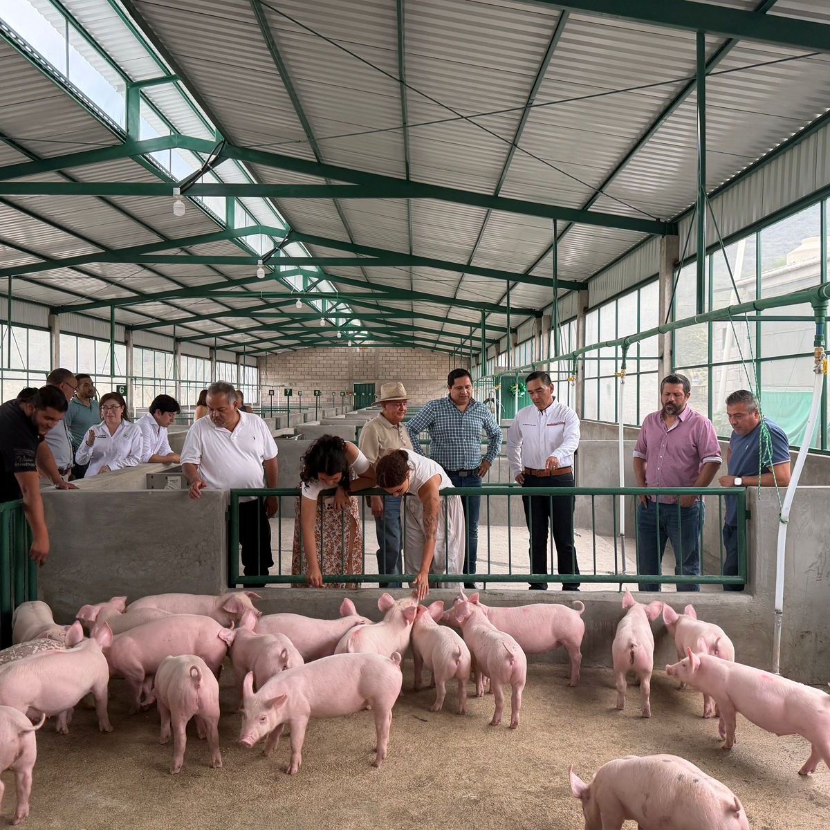 FORTALECEN PROYECTOS PRODUCTIVOS CON NUEVA GRANJA&nbsp;PORCÍCOLA