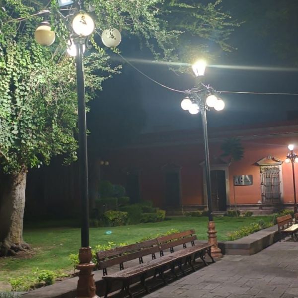 RESTAURAN ILUMINACIÓN EN EL JARDÍN DE SAN FRANCISCO Y CALLES&nbsp;ALEDAÑAS