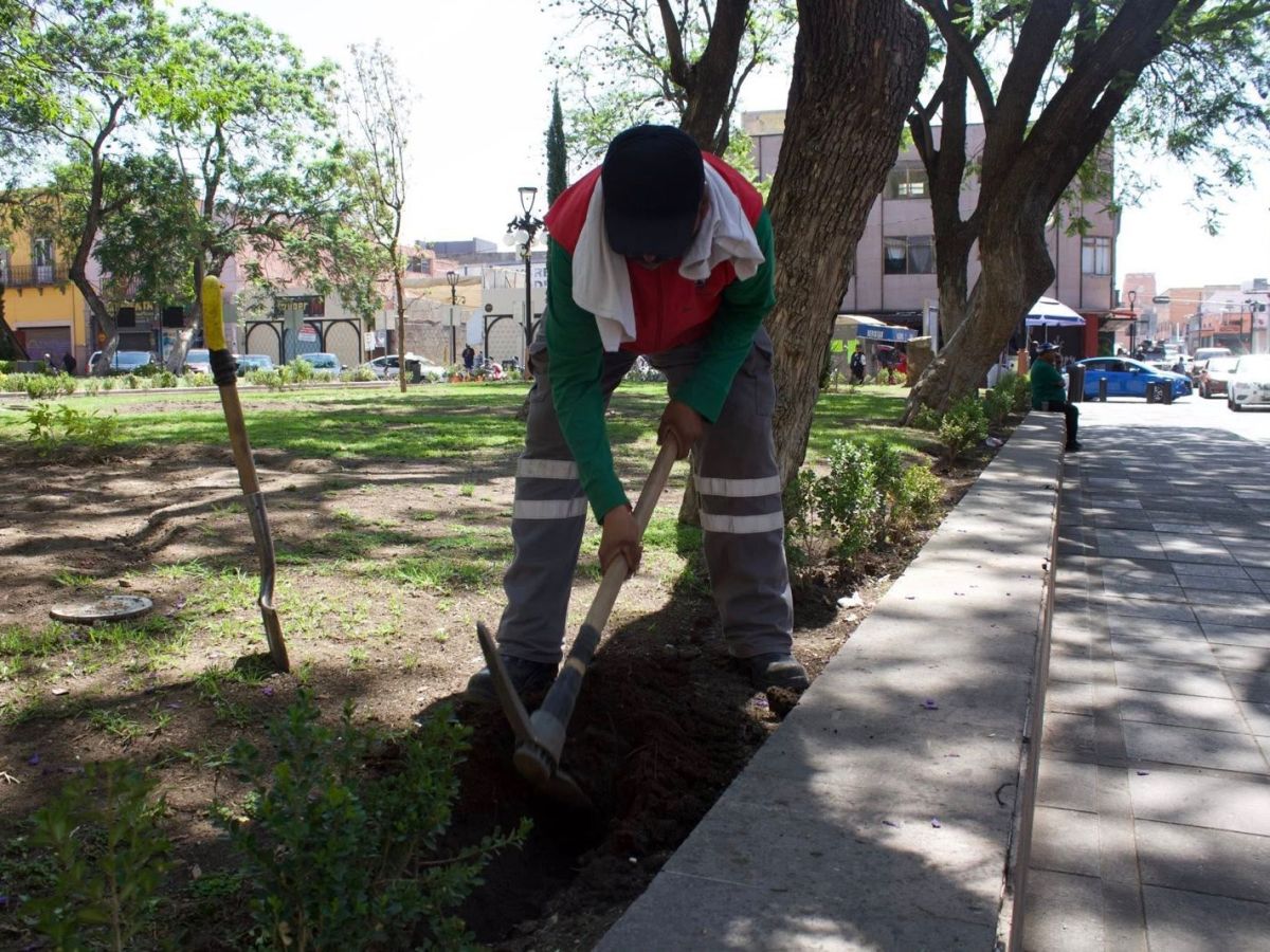 RECUPERA MUNICIPIO CON TRABAJOS DE ORNAMENTACIÓN EL JARDÍN DE SAN JUAN DE&nbsp;DIOS