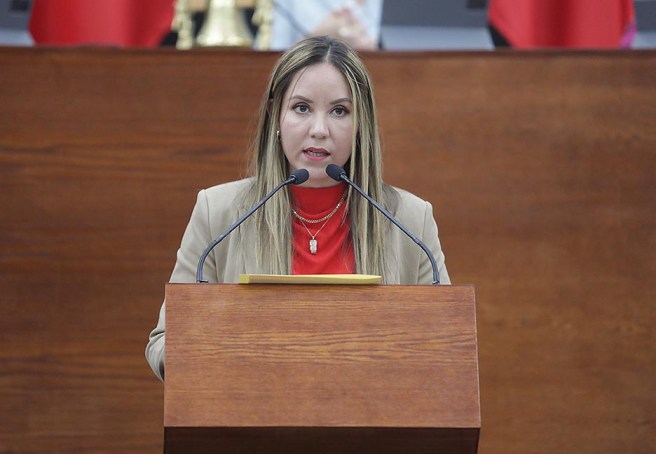 BUSCAN REFORMAR EL CÓDIGO PENAL DEL ESTADO PARA AMPLIAR EL DELITO CONTRA LA SEGURIDAD&nbsp;VIAL