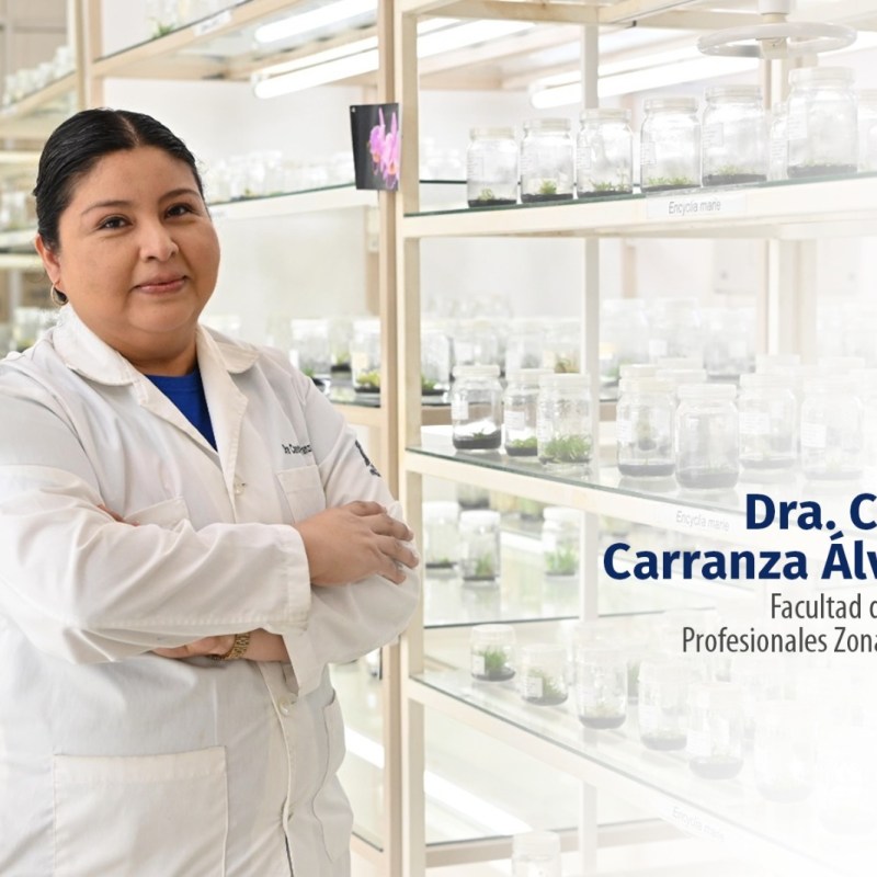 CINCO INVESTIGADORES DE LA UASLP INGRESAN A LA ACADEMIA MEXICANA DE&nbsp;CIENCIAS