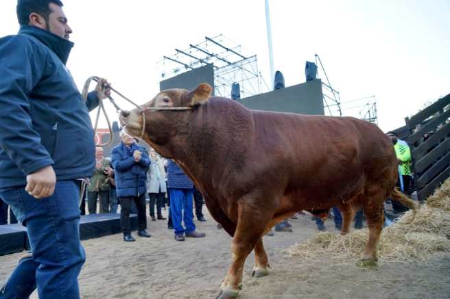 MAQUINARIA, GANADO Y TECNOLOGÍA PARA EL CAMPO EN LA EXPO AGROALIMENTARIA EN LA FENAPO&nbsp;2026