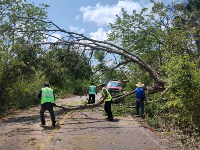 EVALÚA LA JEC  CAMINOS AFECTADOS POR LLUVIAS EN LA HUASTECA PARA ATENDER DERRUMBES Y RETIRAR&nbsp;OBSTÁCULOS