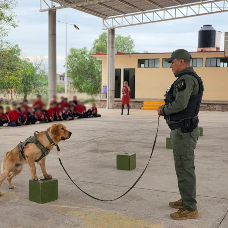 LOMITOS DE LA GUARDIA CIVIL ESTATAL&nbsp; EDUCADOS Y&nbsp;EDUCADORES
