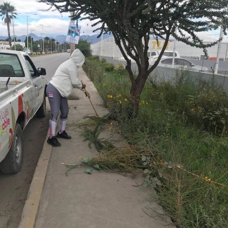 DE MANERA PERMANENTE AYUNTAMIENTO DE LA CAPITAL REALIZA ACCIONES DE LIMPIEZA, PODAS, RECOLECCIÓN DE RESIDUOS EN LA DELEGACIÓN DE LA&nbsp;PILA