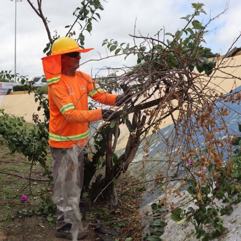 EN SALVADOR NAVA AYUNTAMIENTO DE LA CAPITAL REALIZA TRABAJOS DE LIMPIEZA Y&nbsp;MANTENIMIENTO