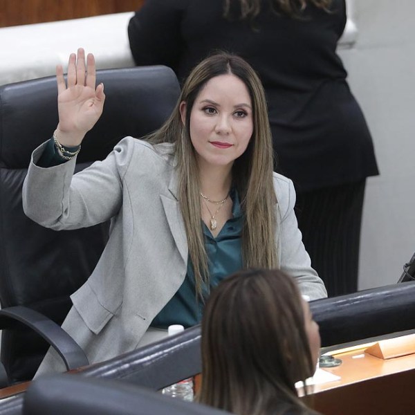 INCORPORAN A LA LEY DE ACCESO DE LAS MUJERES A UNA VIDA LIBRE DE VIOLENCIA LOS CONCEPTOS DE DEBIDA DILIGENCIA, AGRESOR Y ENFOQUE DIFERENCIAL; VIOLENCIA EN LA COMUNIDAD Y VIOLENCIA&nbsp;ESCOLAR