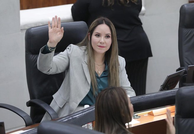 INCORPORAN A LA LEY DE ACCESO DE LAS MUJERES A UNA VIDA LIBRE DE VIOLENCIA LOS CONCEPTOS DE DEBIDA DILIGENCIA, AGRESOR Y ENFOQUE DIFERENCIAL; VIOLENCIA EN LA COMUNIDAD Y VIOLENCIA&nbsp;ESCOLAR