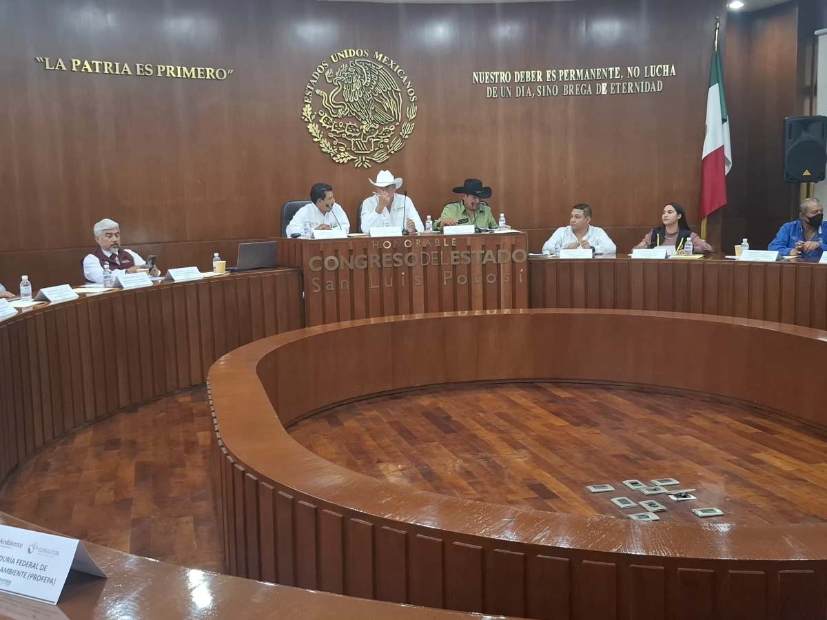 IMPULSAN LEY PARA FORTALECER LA PREVENCIÓN DE INCENDIOS&nbsp;FORESTALESA