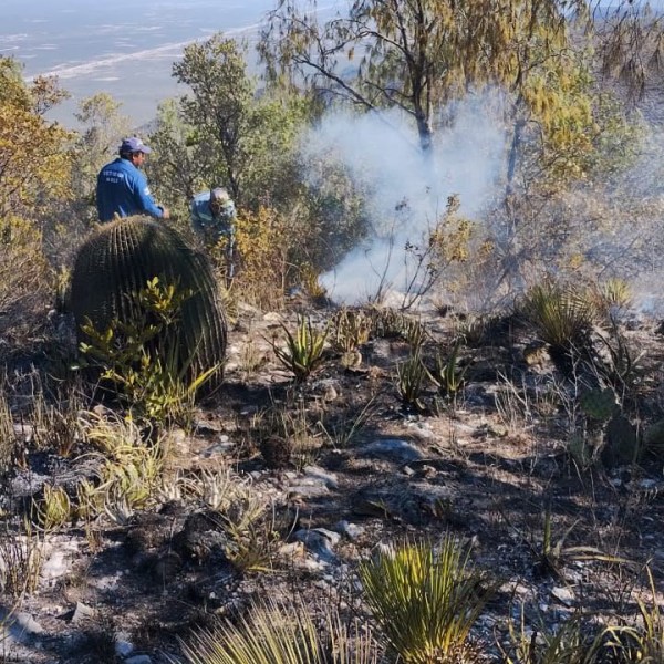 FUERON MENOS LOS INCENDIOS FORESTALES EN LA TEMPORADA 2026 QUE EN&nbsp;2025