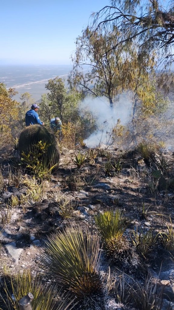 FUERON MENOS LOS INCENDIOS FORESTALES EN LA TEMPORADA 2026 QUE EN&nbsp;2025
