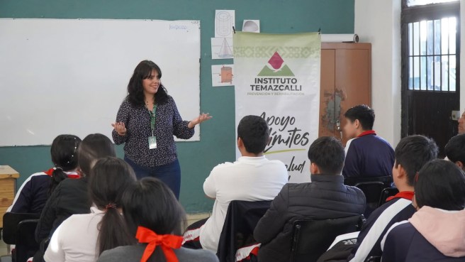 INSTITUTO TEMAZCALLI ACERCA PREVENCIÓN Y APOYO EN SALUD&nbsp;MENTAL