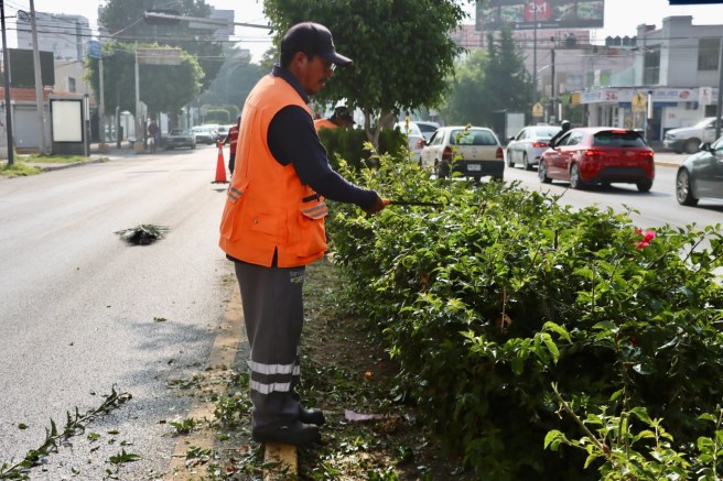 GOBIERNO DE LA CAPITAL MANTIENE EN ÓPTIMAS CONDICIONES LA AVENIDA&nbsp;CARRANZA