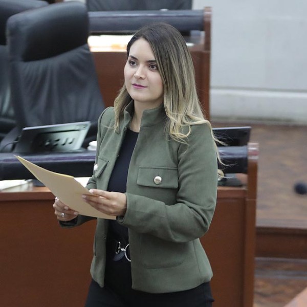 REFORMA A LEGISLACIÓN PARA ESTABLECER CONCEPTOS DE «GENTRIFICACIÓN» Y «VIVIENDA ASEQUIBLE», ASÍ COMO “ESTANCIA TURÍSTICA&nbsp;EVENTUAL”