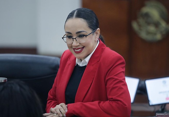 BRISSEIRE SÁNCHEZ LÓPEZ PRESENTÓ UNA INICIATIVA DE REFORMA A LA LEY DE LOS DERECHOS DE NIÑAS, NIÑOS Y ADOLESCENTES DEL&nbsp;ESTADO