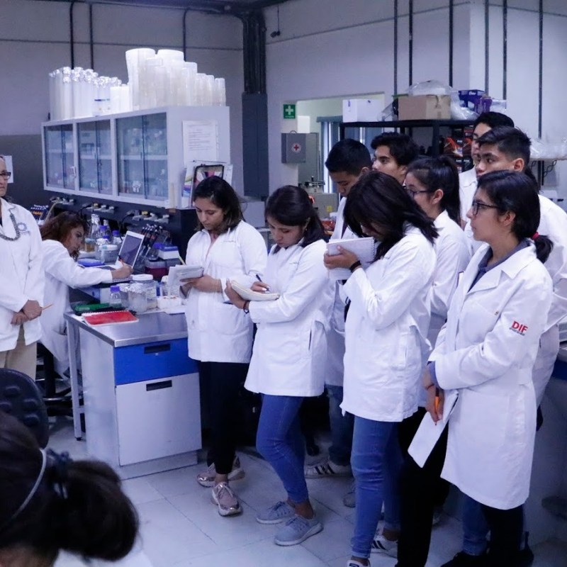 COPOCYT ABRE BECAS PARA UNIVERSITARIAS POTOSINAS EN&nbsp;CANADÁ