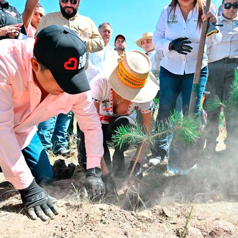 SAN LUIS POTOSÍ SE SUMÓ A LA JORNADA NACIONAL DE REFORESTACIÓN Y PROTECCIÓN&nbsp;AMBIENTAL