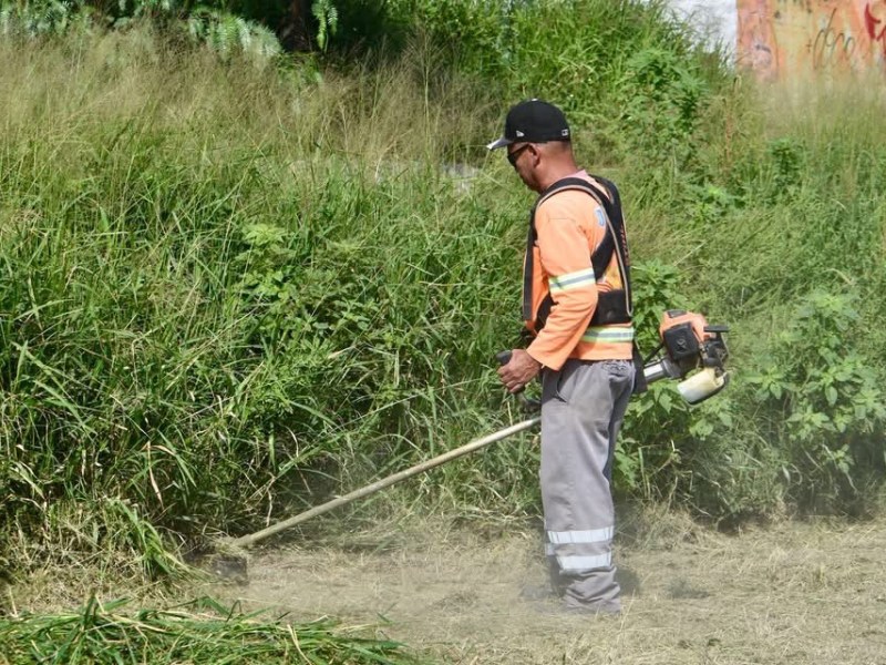 LIMPIEZA INTEGRAL DEL BOULEVARD JACOBO PAYÁN REALIZÓ EL MUNICIPIO DE LA&nbsp;CAPITAL