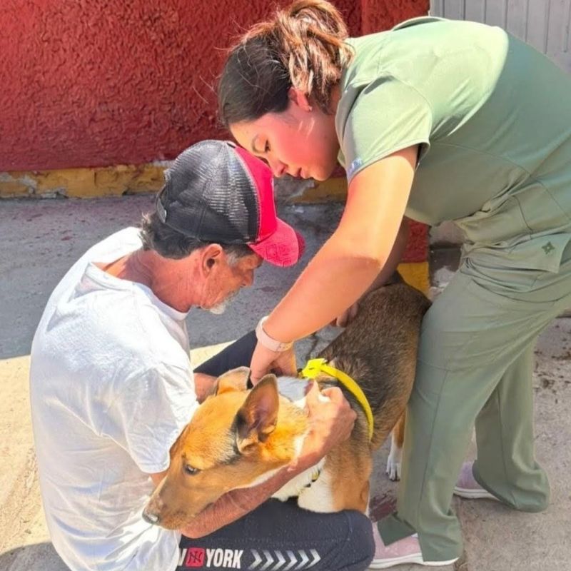 REALIZA GOBIERNO DE LA CAPITAL JORNADA DE BIENESTAR ANIMAL EN LA COLONIA&nbsp;RETORNOS