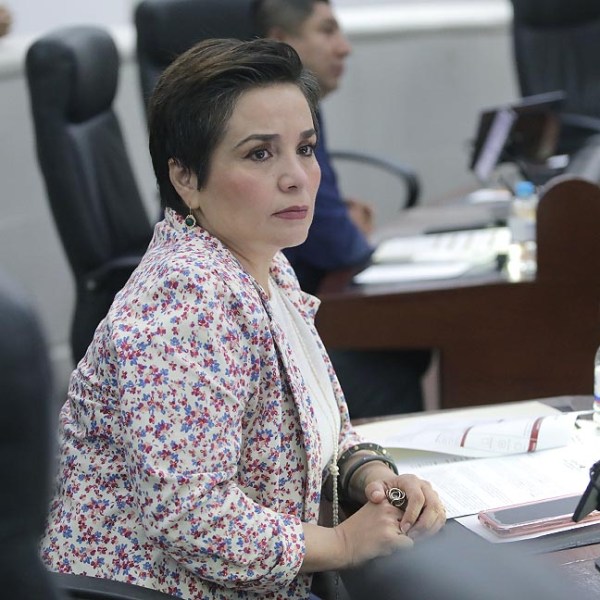 INICIATIVA BUSCA ESTABLECER SISTEMAS DE RECOLECCIÓN DIFERENCIADA DE RESIDUOS ORGÁNICOS PROVENIENTES DE ANIMALES DE&nbsp;COMPAÑÍA.