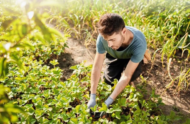 SAN LUIS POTOSÍ CONTARÁ CON CERTIFICADORA INTERNACIONAL PARA EL SECTOR&nbsp;AGROPECUARIO
