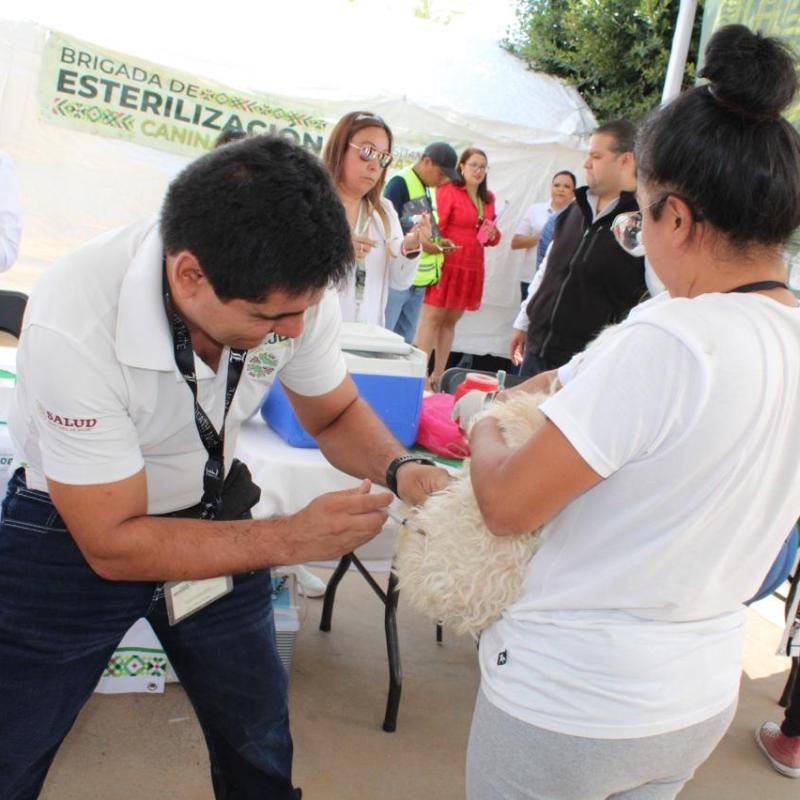 MÁS DE 553 MIL MASCOTAS PROTEGIDAS CONTRA LA RABIA EN SAN LUIS&nbsp;POTOSÍ