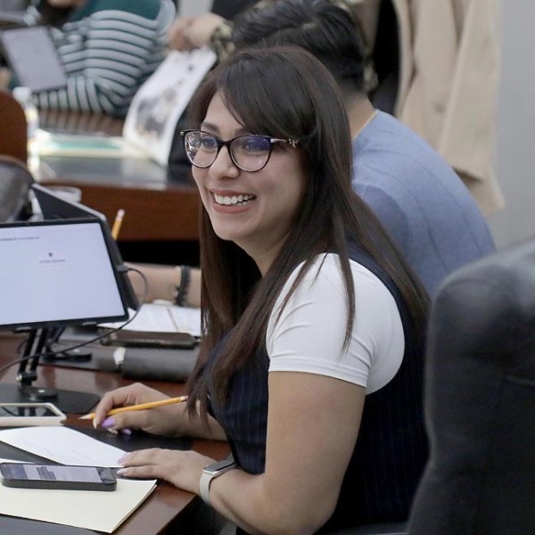 BUSCAN HACER PÚBLICO EL PADRÓN DE PERSONAS DEUDORAS ALIMENTARIAS&nbsp;MOROSAS.