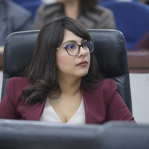 EL DERECHO DE ALIMENTOS CONSTITUYE UNA PRIORIDAD DE CARÁCTER URGENTE E INAPLAZABLE: DIP. JESSICA GABRIELA LÓPEZ&nbsp;TORRES.