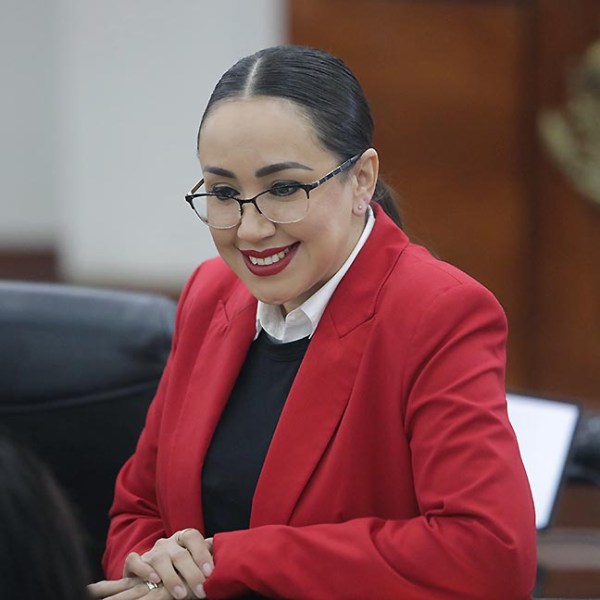 PROPONE BRISSEIRE SÁNCHEZ LÓPEZ INCORPORAR EL CONCEPTO “ENTORNO SEGURO” EN LA LEY DE&nbsp;EDUCACIÓN