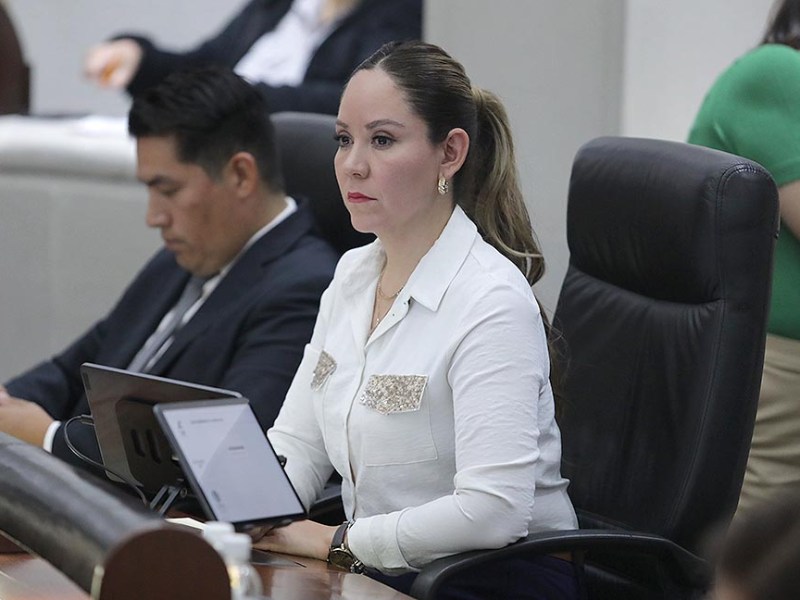 DIPUTADOS BUSCA PROMOVER EL BIENESTAR MENTAL, INCORPORANDO ACCIONES EDUCATIVAS, CULTURALES, RECREATIVAS Y&nbsp;COMUNITARIAS